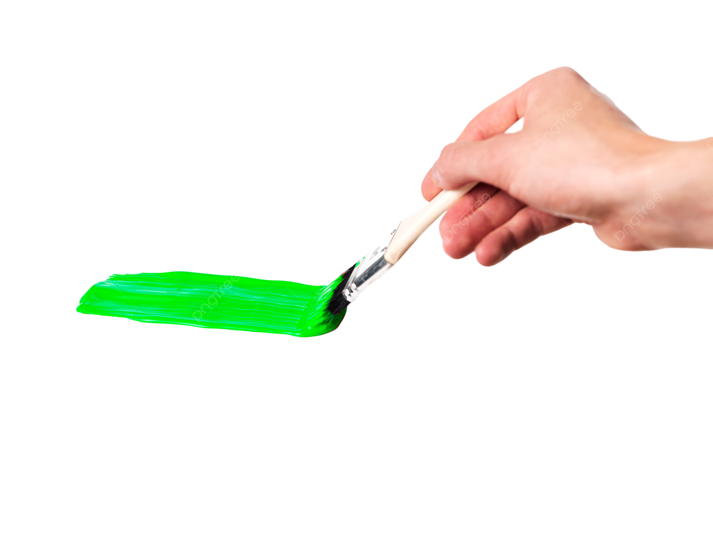 Pintura verde aislado en blanco verde png dibujos conceptos fondo blanco adentro png imagen para dcarga gratuita