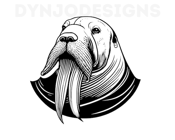 Walrus svg walrus clipart walrus png walrus head walrus cut files for cricut walrus silhouette animals silhouette