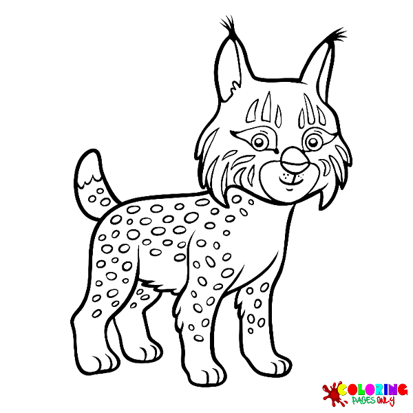 Lynx coloring pages