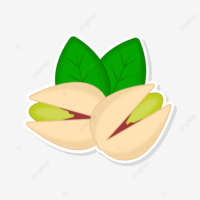 Ilustraciãn de vector de pegatina de pistachos lindos png dibujos pistachos nuez de pistachos pegatina de pistachos png y vector para dcargar gratis