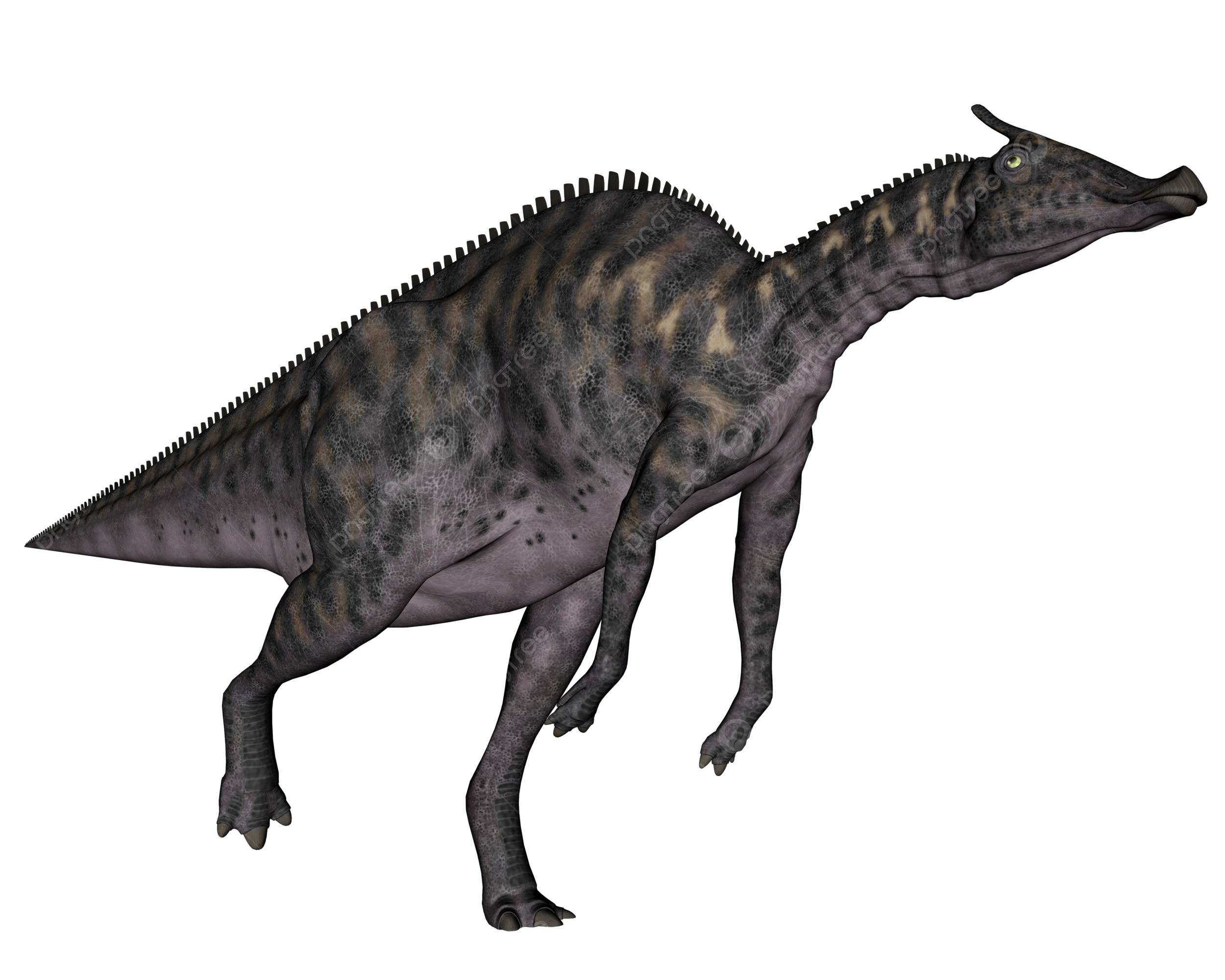 Running dinosaur png transparent images free download vector files