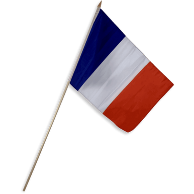 France flag x inch on stick