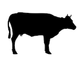 Cow silhouette svg clipart black white cow cricut digital