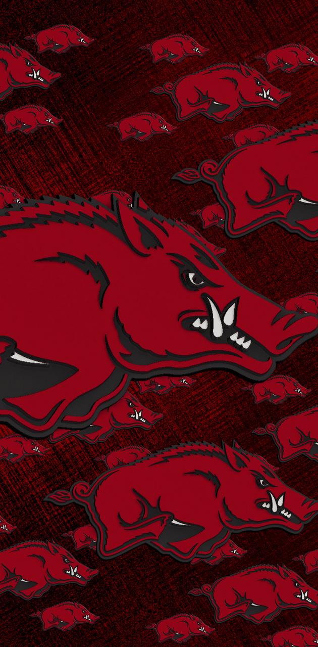 Arkansas i wallpaper by vrice