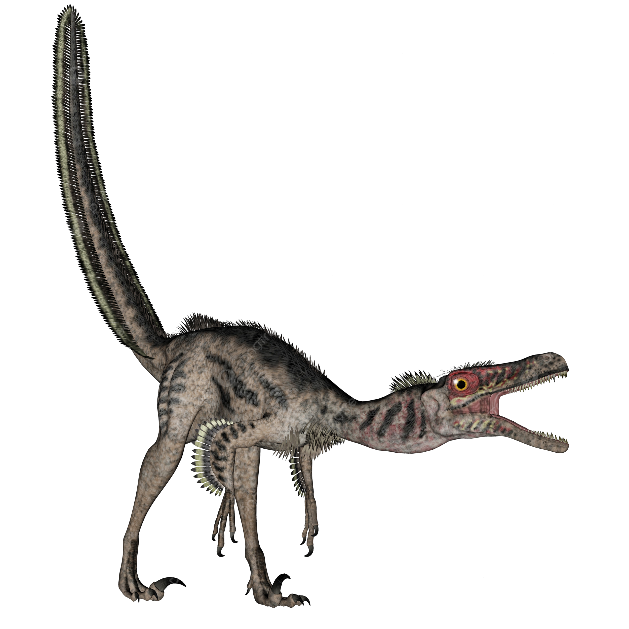 Velociraptor png imãgen transparent