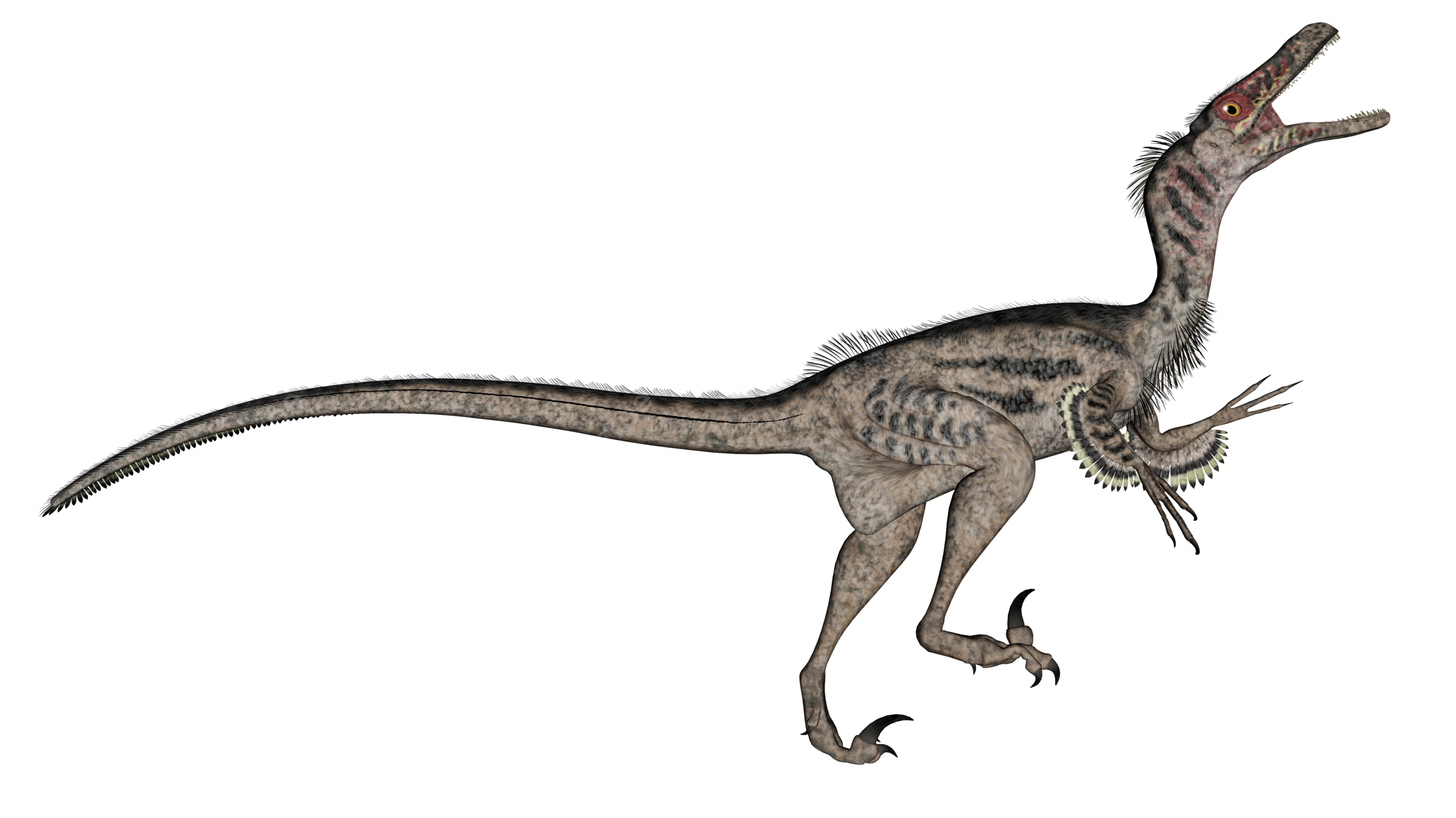 Velociraptor png imãgen transparent