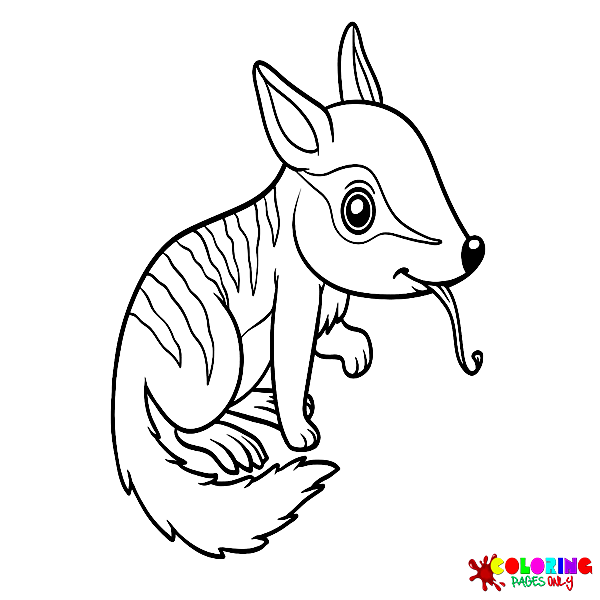 Numbat coloring pages