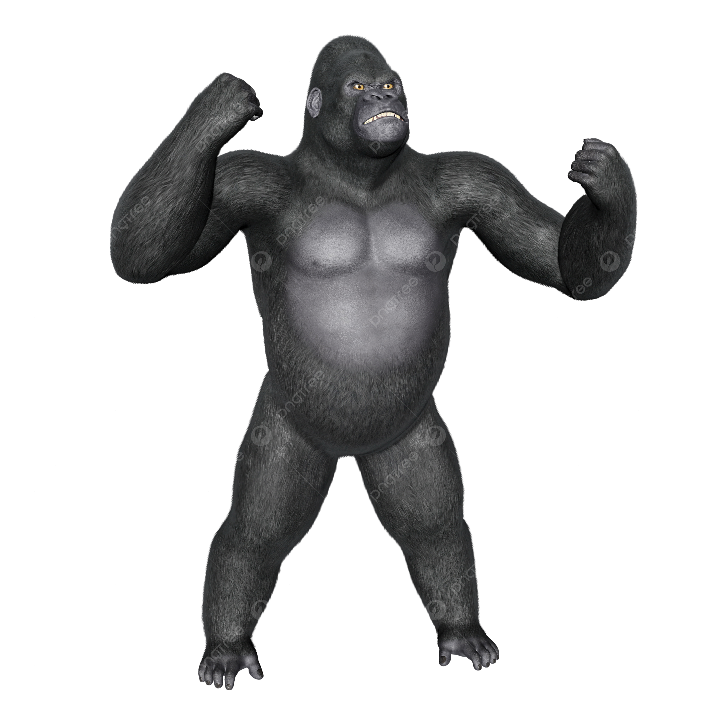 Angry gorilla png transparent images free download vector files