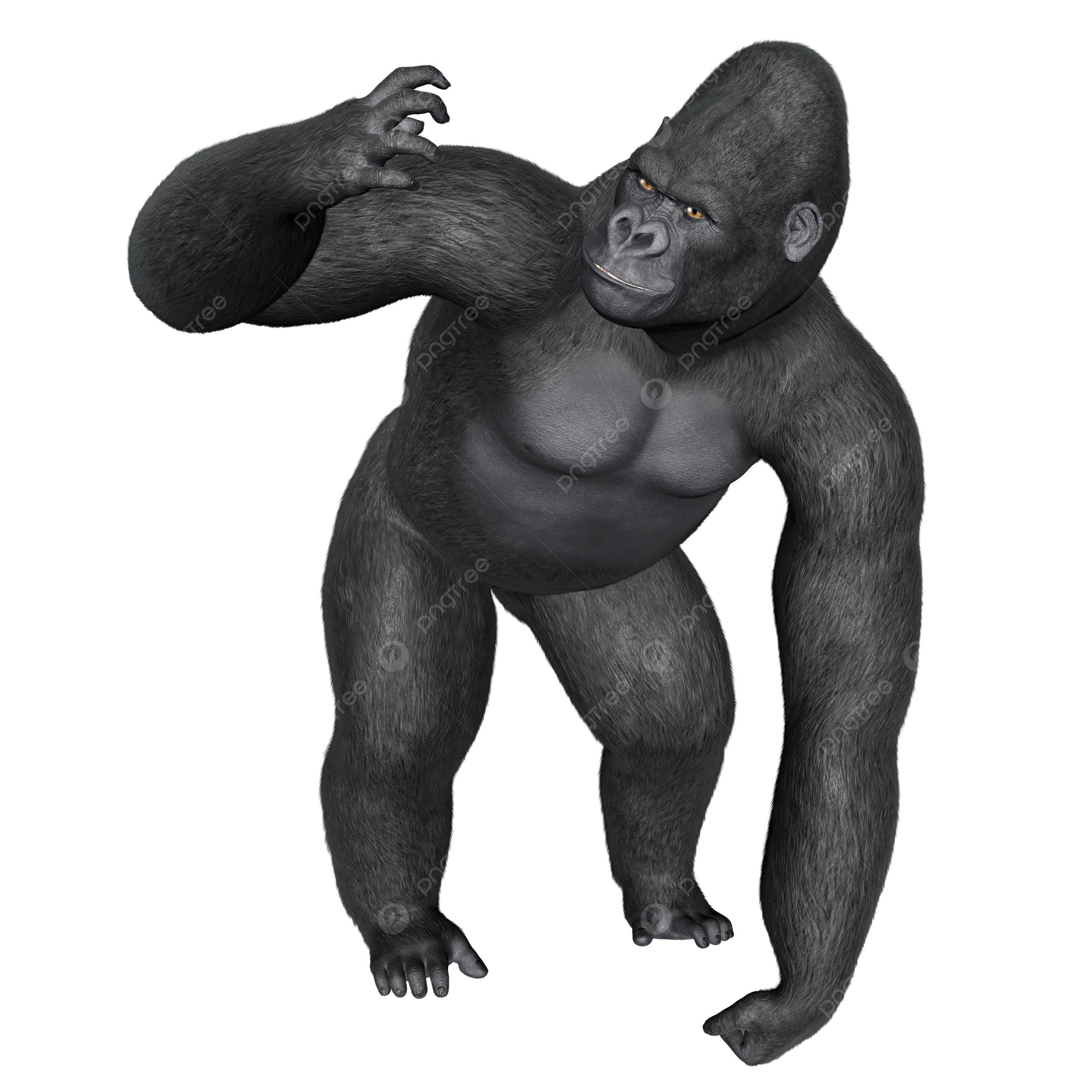 Angry gorilla png transparent images free download vector files