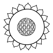 Sunflower coloring pages free coloring pages