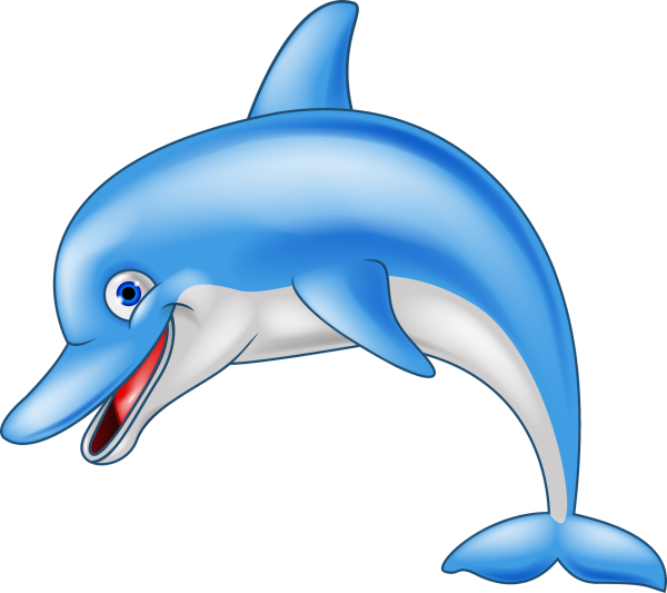 Cartoon dolphin drawing photos drawings for sketching and more