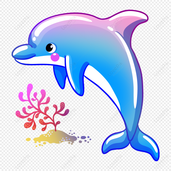 Cartoon dolphin drawing photos drawings for sketching and more