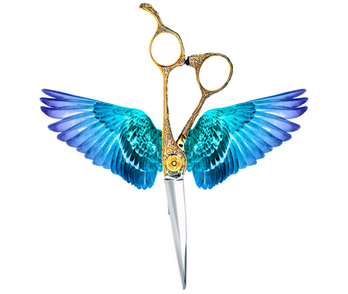 Aquila scissors