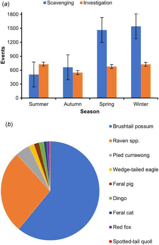 Carcass use by mesoscavengers drives seasonal shifts in australian alpine scavenging dynamics