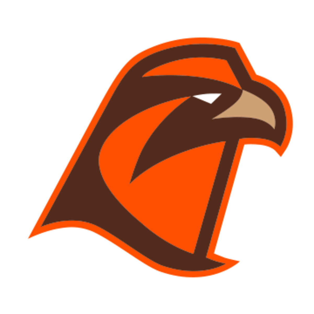 Bowling green falcons