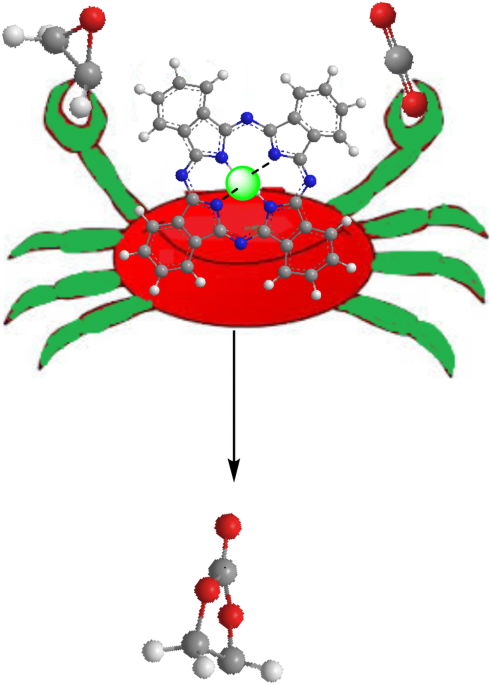 A novel and green in situ strategy for the synthesis of metallophthalocyanines on chitosan and investigation their catalytic activity in the co fixation catalysis letters