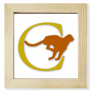 Leopard picture frame