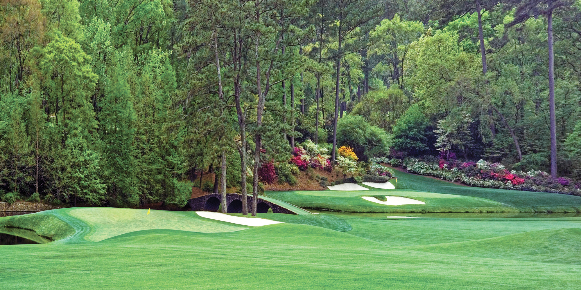 Download free augusta national background