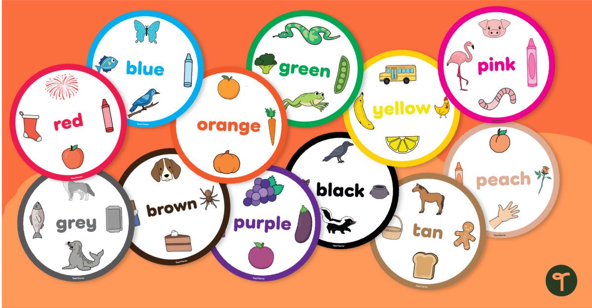 Classroom colour charts teach starter