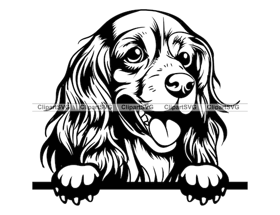 English cocker spaniel smiling peeking dog puppy face canine