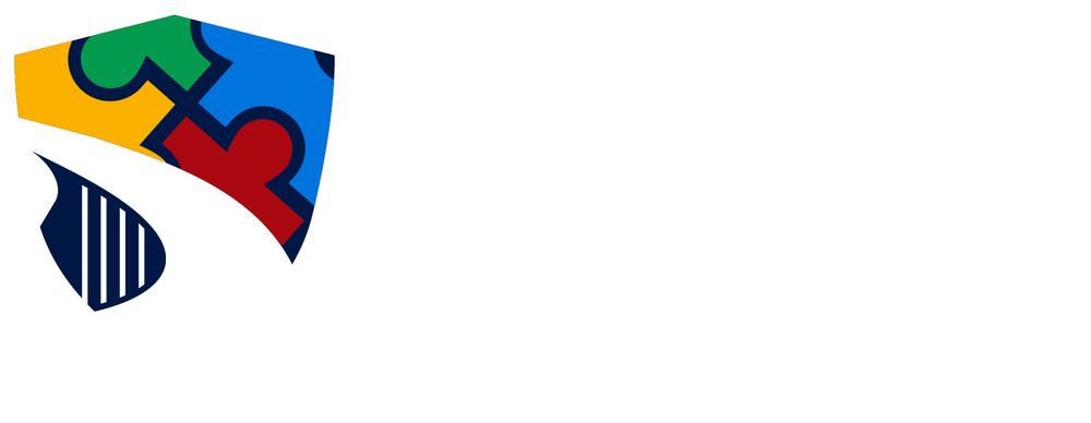 Blue bridge autism training