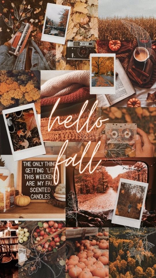 Download Free 100 + autumn aesthetic collage Wallpapers