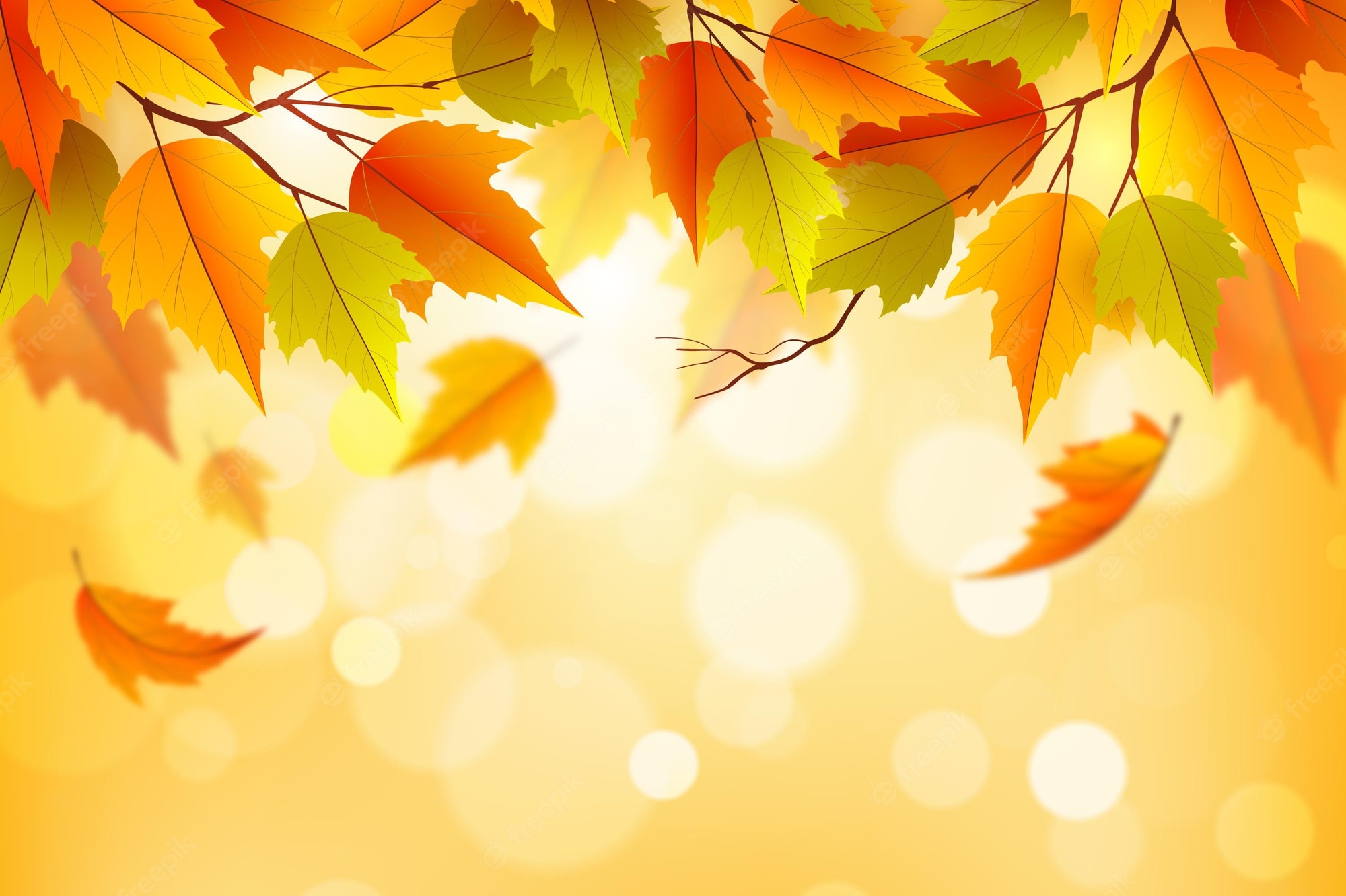30,000+ Free Autumn Leaves & Autumn Images - Pixabay