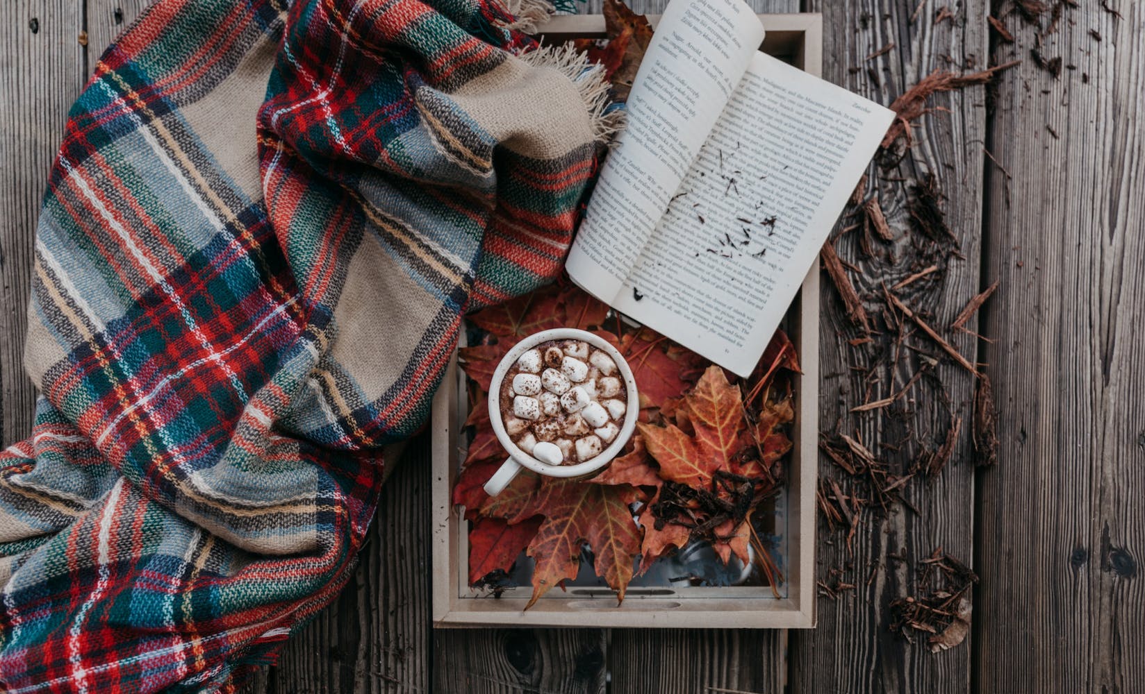 All the Fall Essentials You Could Possibly Need