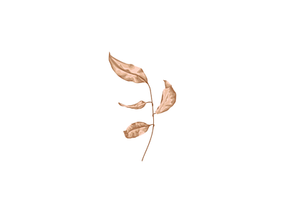 Leaves illustration designs themes templates and downloadable graphic elements on