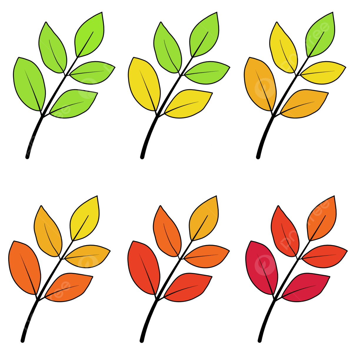 Different leaves vector art png images free download on