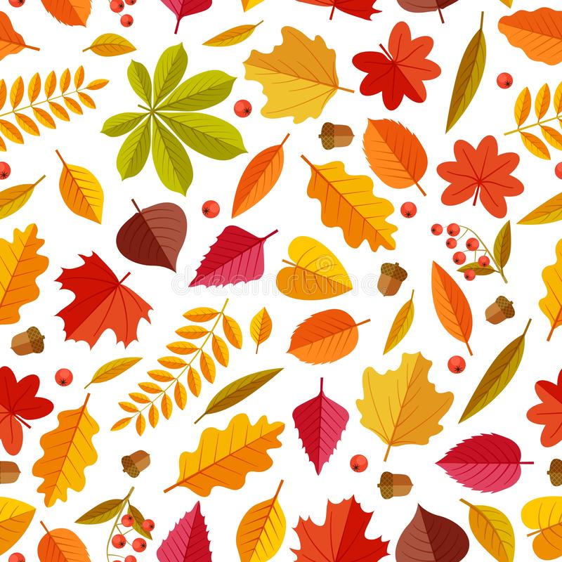 Download Free 100 + autumn leaves wallpaper