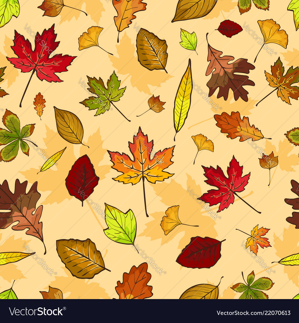 Download Free 100 + autumn leaves wallpaper