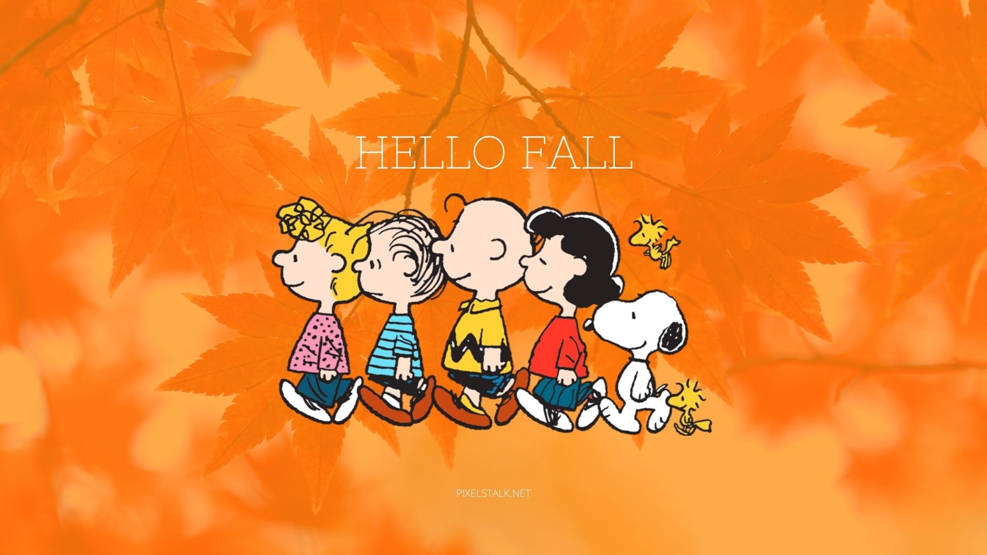 Autumn snoopy desktop wallpapers