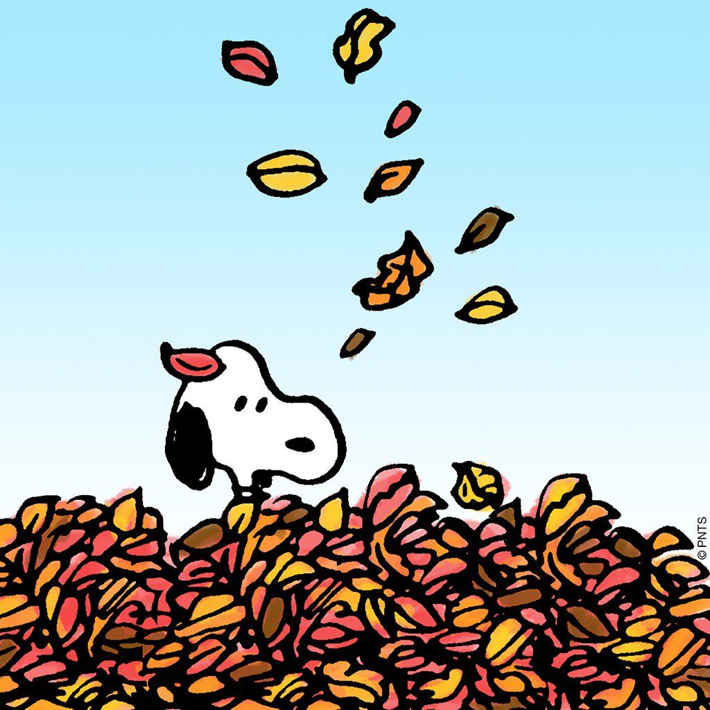 Embedded image snoopy wallpaper snoopy snoopy pictures