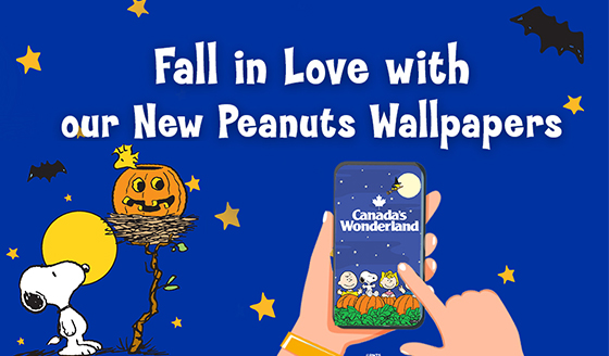 Fall in love with our new peanuts wallpapers