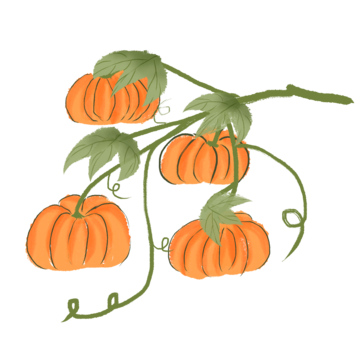 Pumpkin vine png transparent images free download vector files