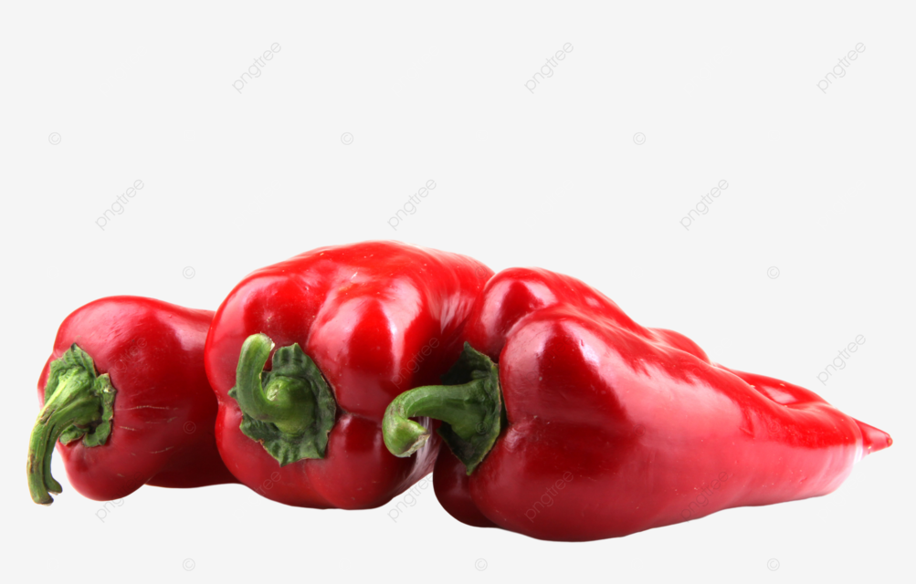 Red chilli peppers on white background peppers chilli chicken red png transparent image and clipart for free download