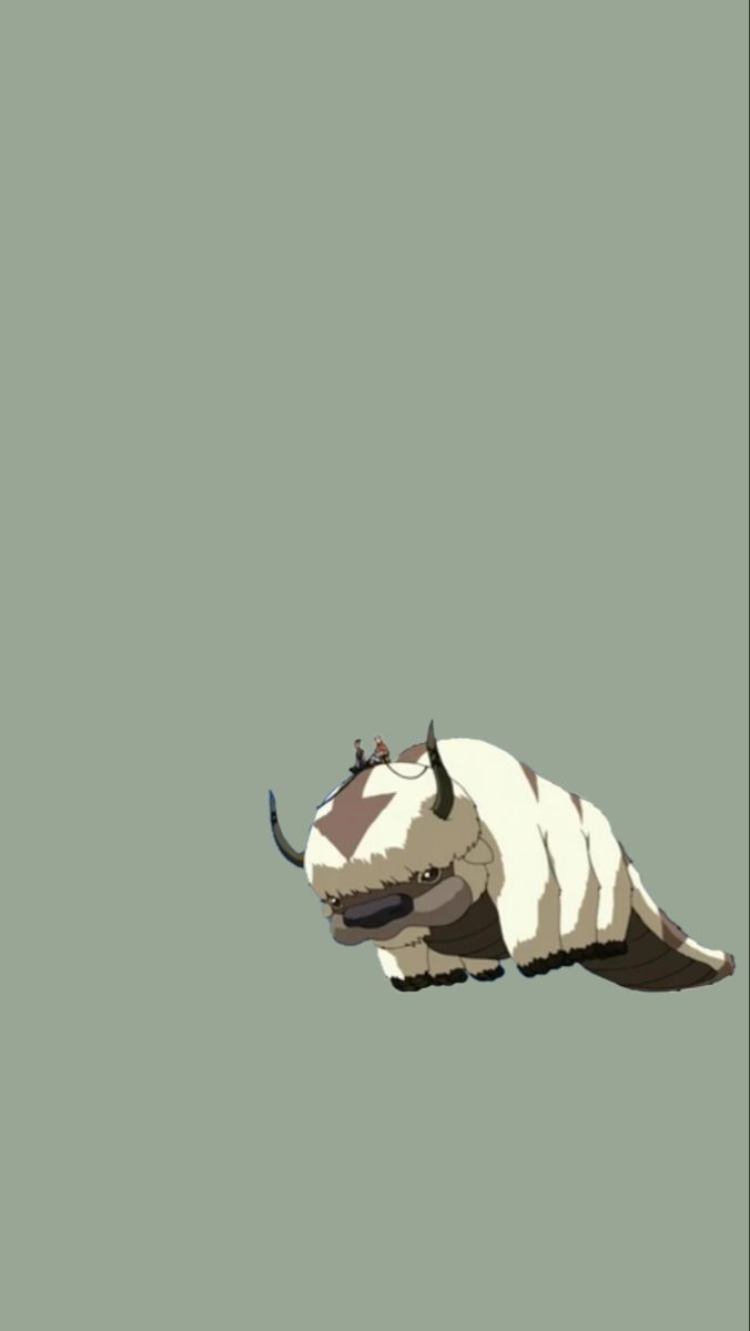 Appa avatar aesthetic iphone wallpaper wallpaper iphone wallpaper ponsel