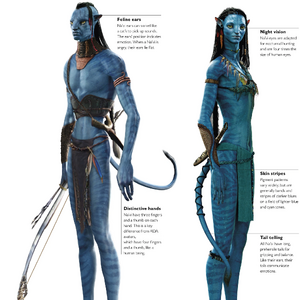 Discuss everything about avatar wiki