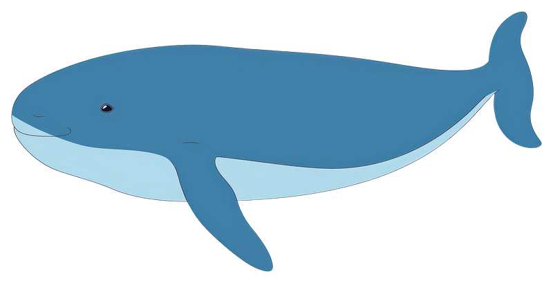 Whale outline images free photos png stickers wallpapers backgrounds