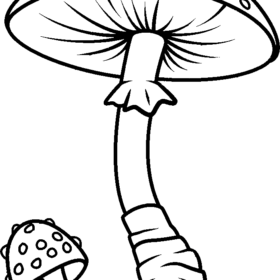 Vegetable coloring pages printable for free download