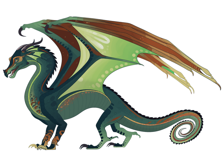 Discuss everything about wings of fire wiki