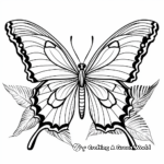 Butterfly coloring pages