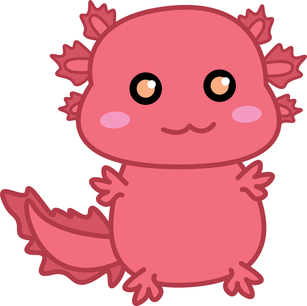 Free axolotl animal images