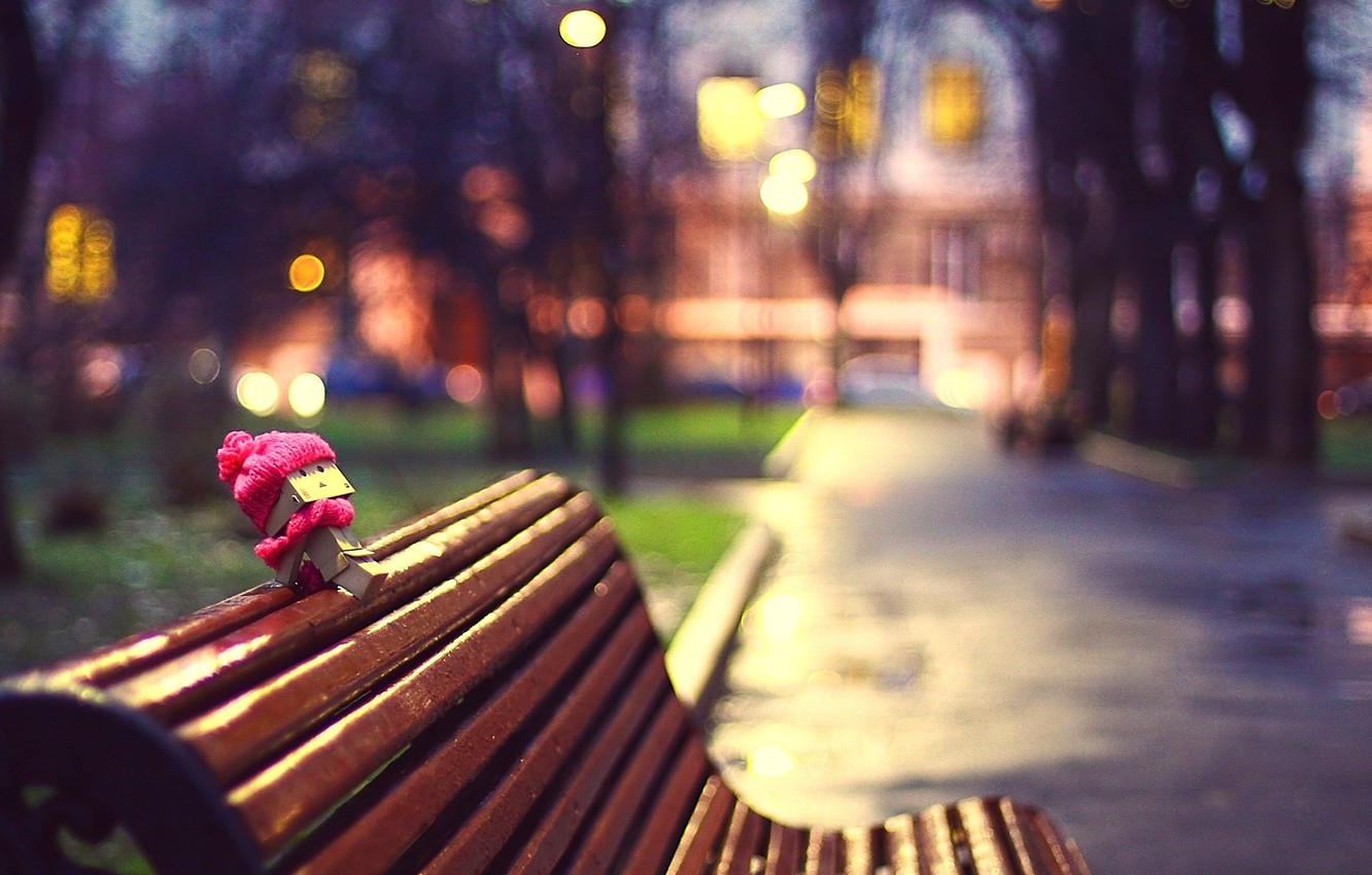 Wallpaper the evening photo the city trees bench hat alley danbo scarf focus box shop images for desktop section ððñññððµððñ