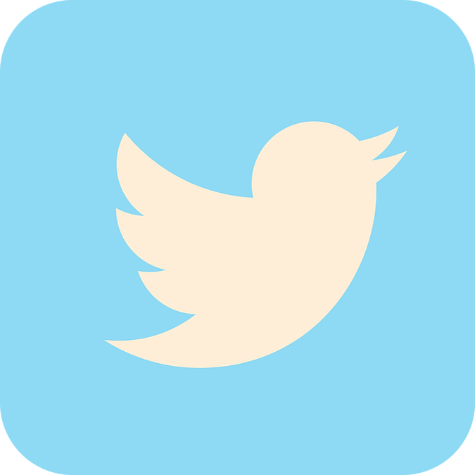 Twitter flies blue bird replaces with x logo on web