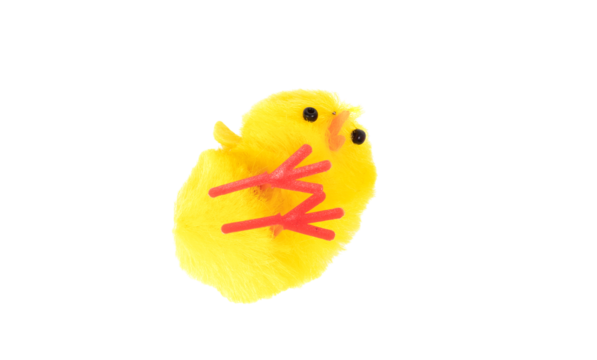 Easter chick png transparent images free download vector files