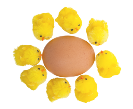 Easter chick png transparent images free download vector files