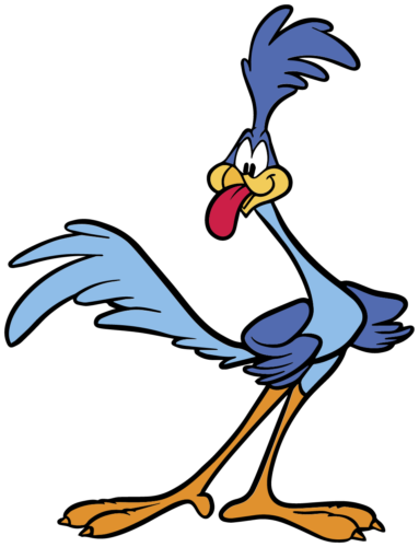 Roadrunner meep meep beep beep sticker vinyl decal sizes with tracking