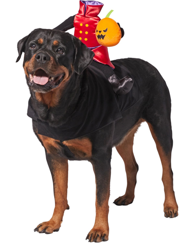 Funny dog halloween costumes for the silliest pup you know